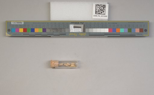 NSF ADBC EPICC TCN