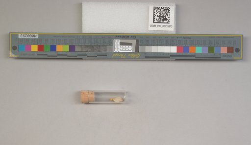 NSF ADBC EPICC TCN