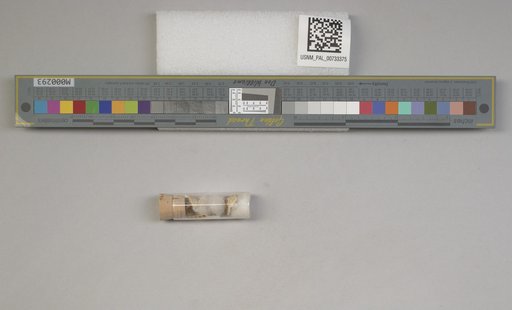 NSF ADBC EPICC TCN