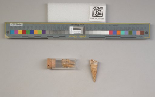NSF ADBC EPICC TCN