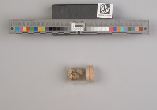 NSF ADBC EPICC TCN