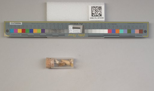 NSF ADBC EPICC TCN