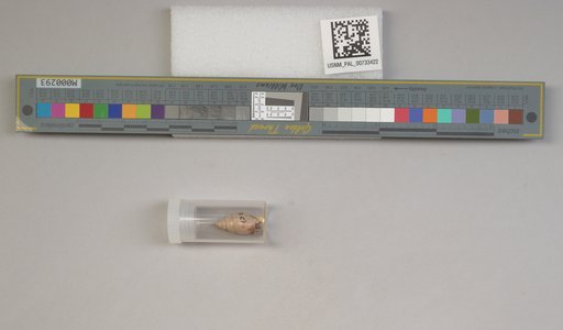 NSF ADBC EPICC TCN