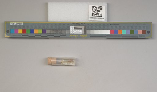 NSF ADBC EPICC TCN