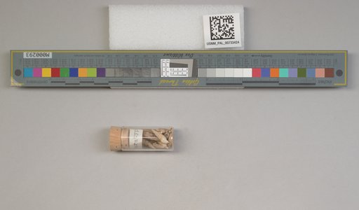 NSF ADBC EPICC TCN