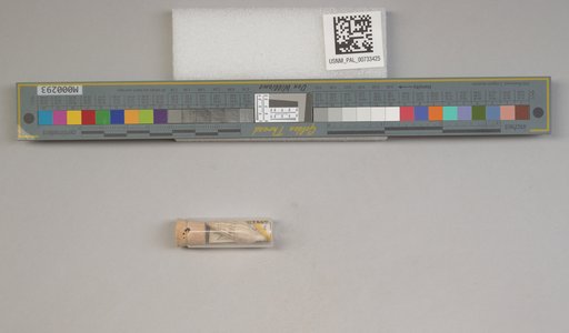 NSF ADBC EPICC TCN
