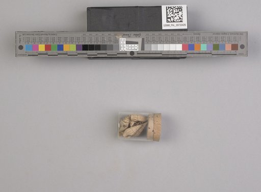 NSF ADBC EPICC TCN