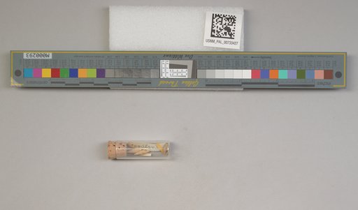 NSF ADBC EPICC TCN