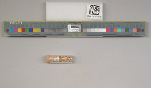 NSF ADBC EPICC TCN