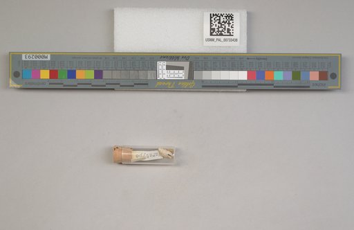 NSF ADBC EPICC TCN