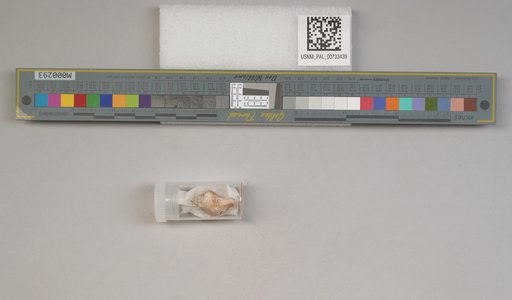 NSF ADBC EPICC TCN