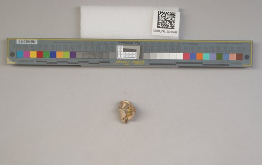 NSF ADBC EPICC TCN
