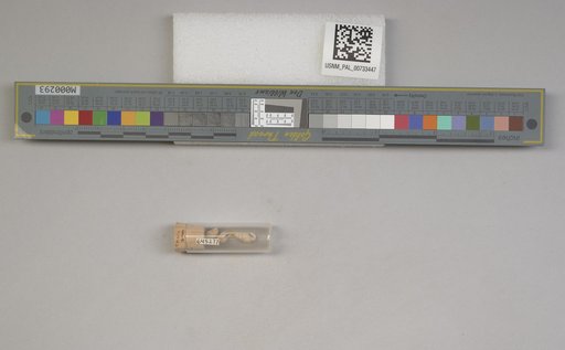 NSF ADBC EPICC TCN
