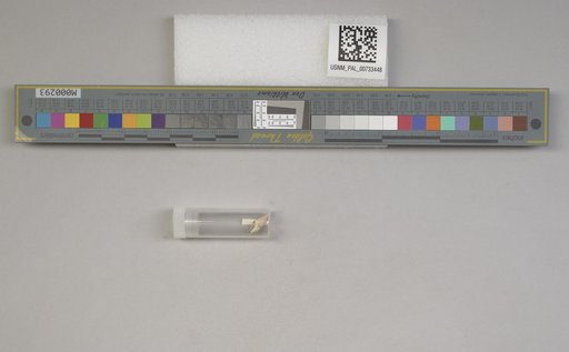 NSF ADBC EPICC TCN