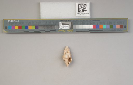 NSF ADBC EPICC TCN