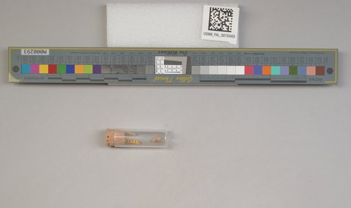 NSF ADBC EPICC TCN