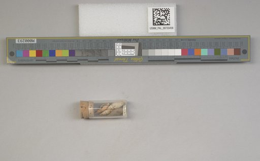 NSF ADBC EPICC TCN