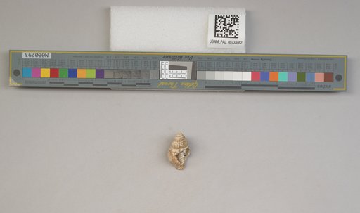 NSF ADBC EPICC TCN