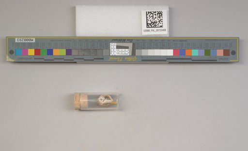 NSF ADBC EPICC TCN