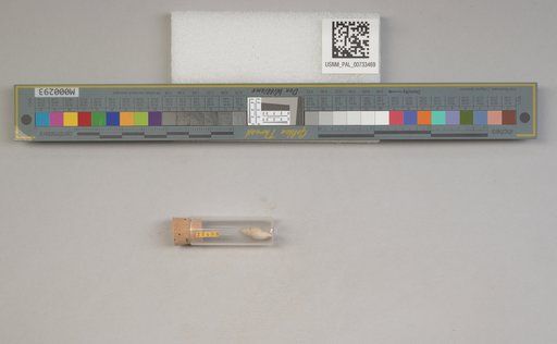 NSF ADBC EPICC TCN