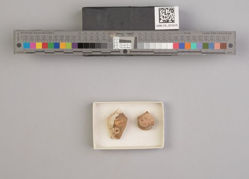 NSF ADBC EPICC TCN