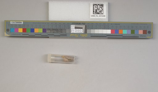 NSF ADBC EPICC TCN