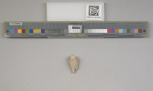NSF ADBC EPICC TCN