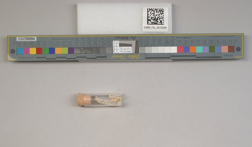 NSF ADBC EPICC TCN