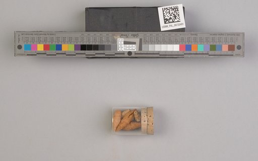 NSF ADBC EPICC TCN