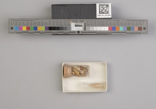 NSF ADBC EPICC TCN