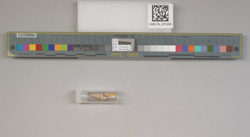 NSF ADBC EPICC TCN