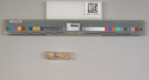 NSF ADBC EPICC TCN