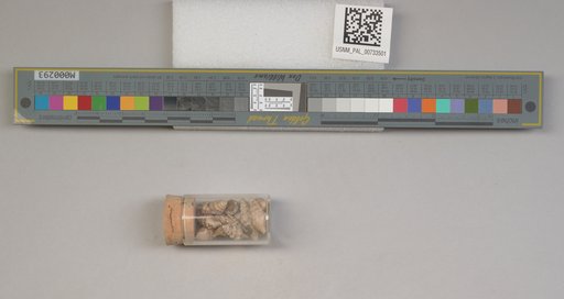 NSF ADBC EPICC TCN