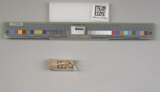 NSF ADBC EPICC TCN
