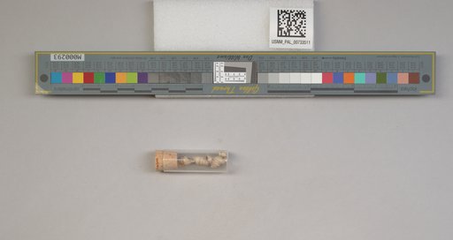 NSF ADBC EPICC TCN