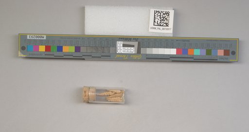 NSF ADBC EPICC TCN