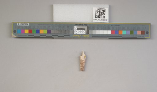 NSF ADBC EPICC TCN