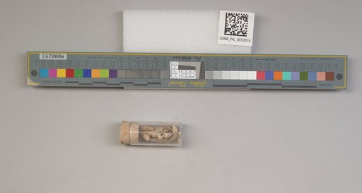 NSF ADBC EPICC TCN