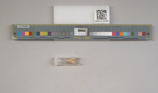 NSF ADBC EPICC TCN