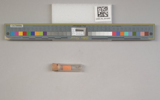 NSF ADBC EPICC TCN