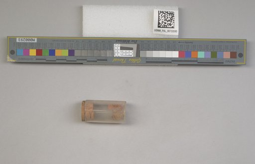 NSF ADBC EPICC TCN