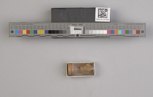 NSF ADBC EPICC TCN