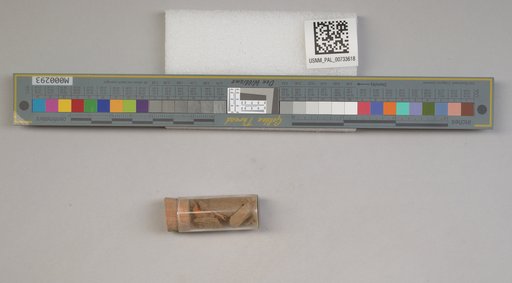 NSF ADBC EPICC TCN