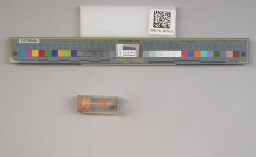 NSF ADBC EPICC TCN