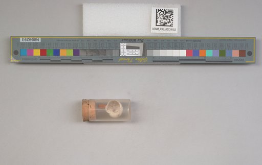 NSF ADBC EPICC TCN