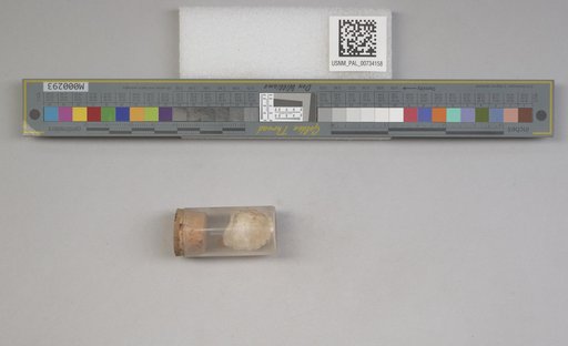NSF ADBC EPICC TCN