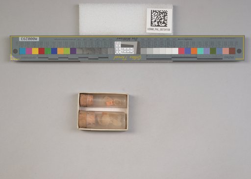 NSF ADBC EPICC TCN