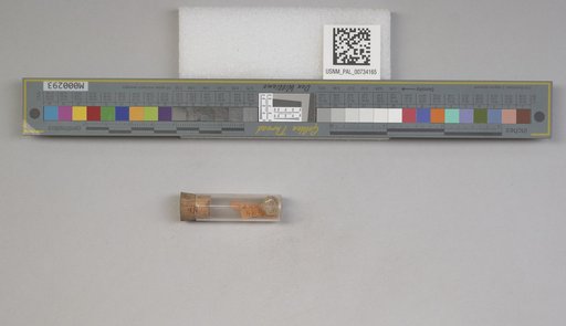 NSF ADBC EPICC TCN