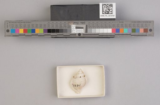 NSF ADBC EPICC TCN
