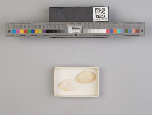 NSF ADBC EPICC TCN